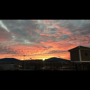 Meet your Posher, Zoe